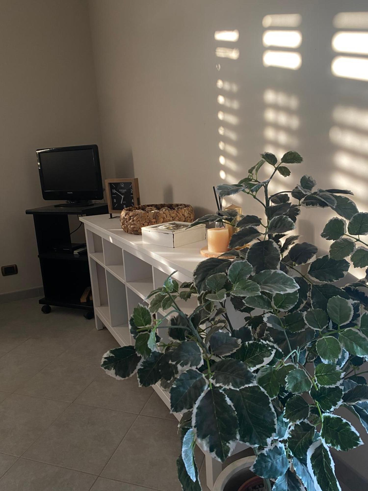 Maeri Home Augusta Exteriér fotografie